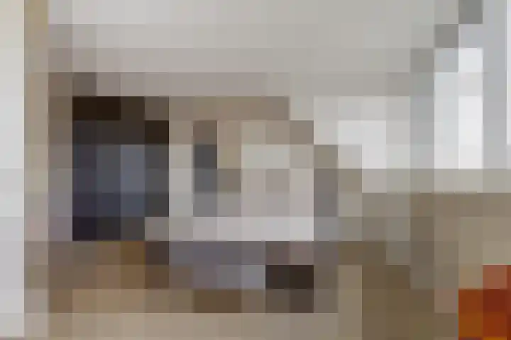 Perzikengaarde 16 Hendrik-Ido-Ambacht thumbnail 31