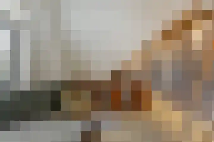 Perzikengaarde 16 Hendrik-Ido-Ambacht thumbnail 35