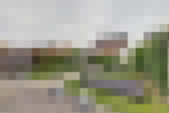 Perzikengaarde 16 Hendrik-Ido-Ambacht thumbnail 39
