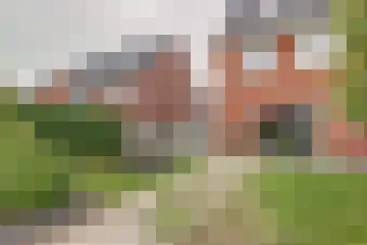 Perzikengaarde 16 Hendrik-Ido-Ambacht thumbnail 43