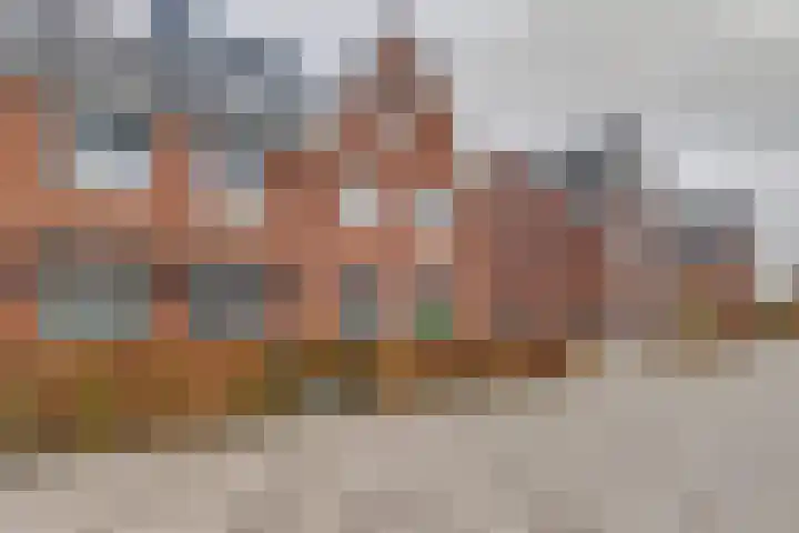 Perzikengaarde 16 Hendrik-Ido-Ambacht thumbnail 48