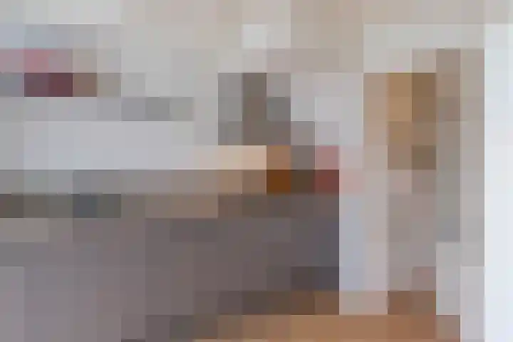 Perzikenstraat 6 Naaldwijk thumbnail 13