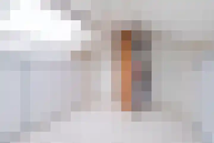 Perzikenstraat 6 Naaldwijk thumbnail 30