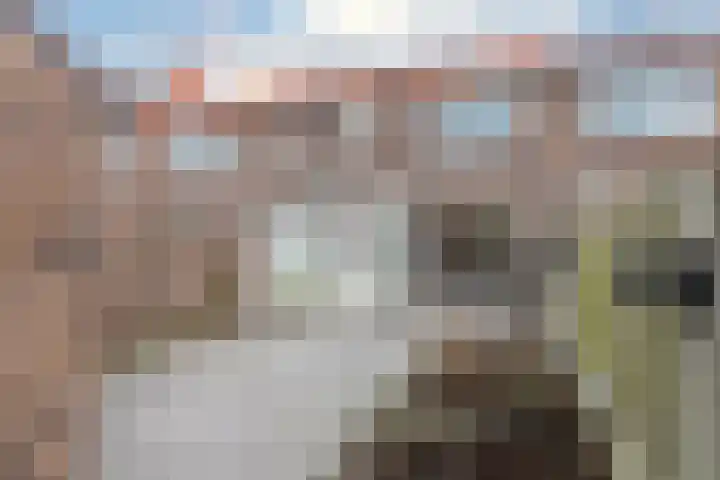 Perzikenstraat 6 Naaldwijk thumbnail 4