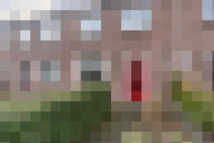 Perzikenstraat 6 Naaldwijk thumbnail 5