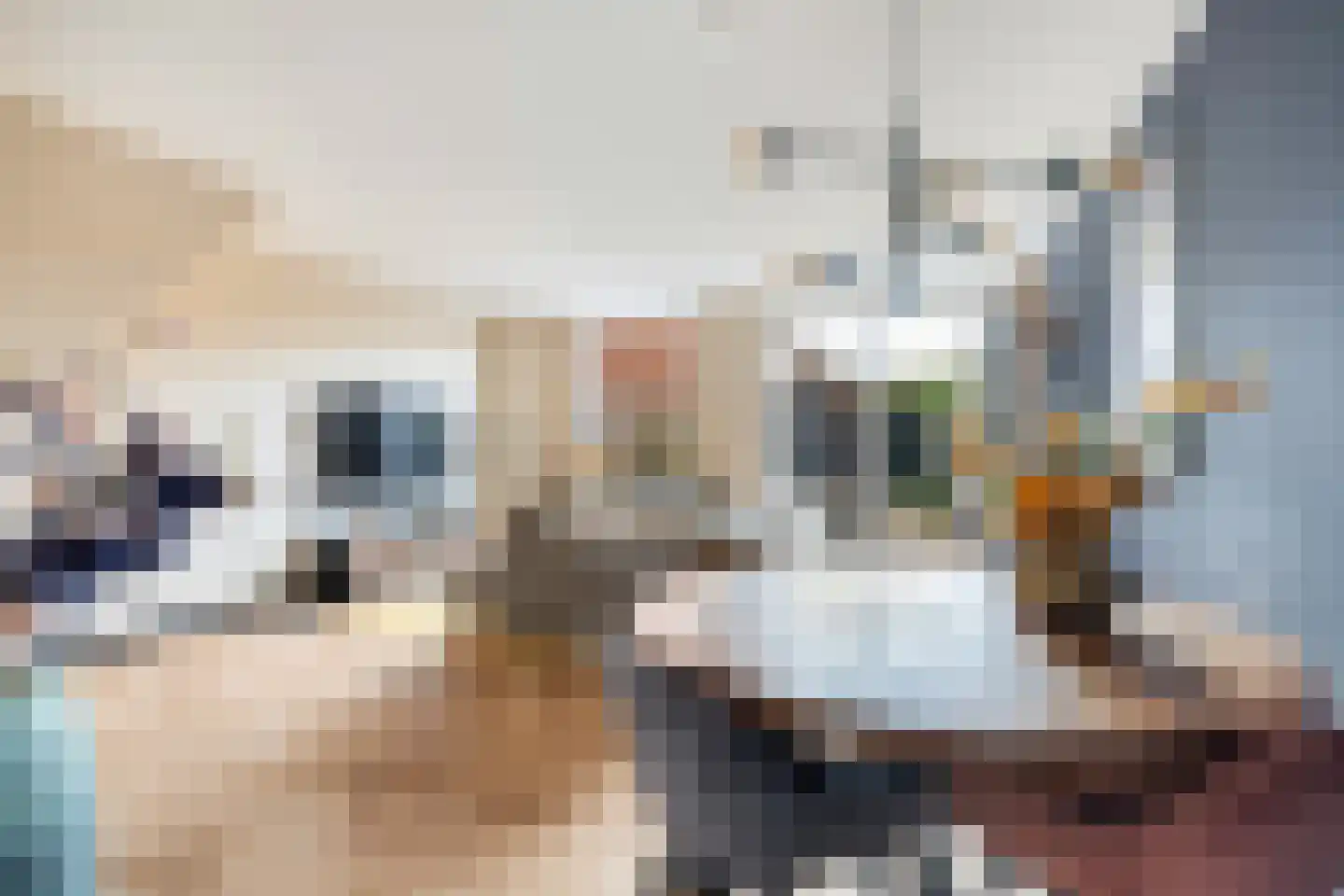 Perzikgaarde 2 Nieuwegein thumbnail 10