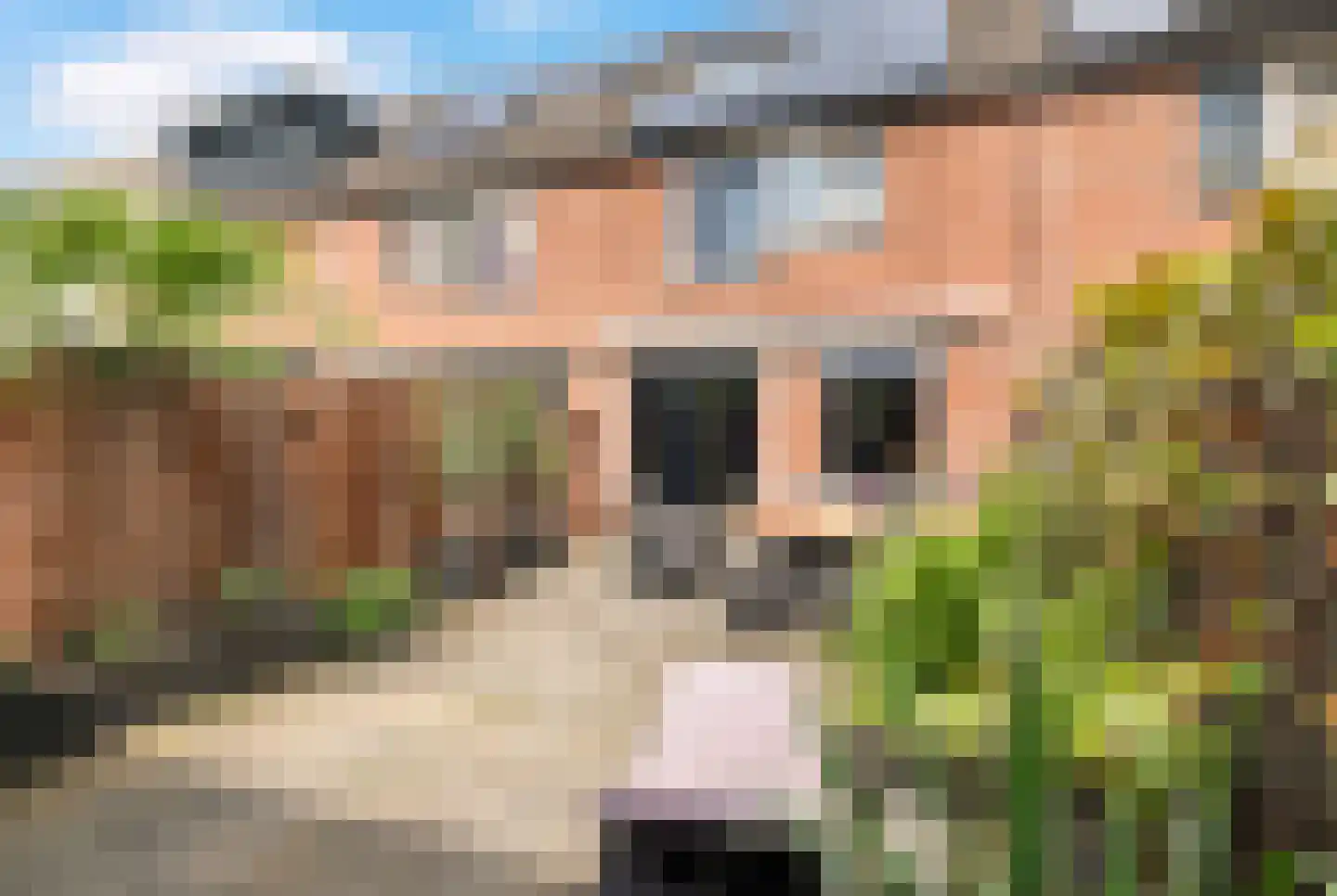 Perzikgaarde 2 Nieuwegein thumbnail 21