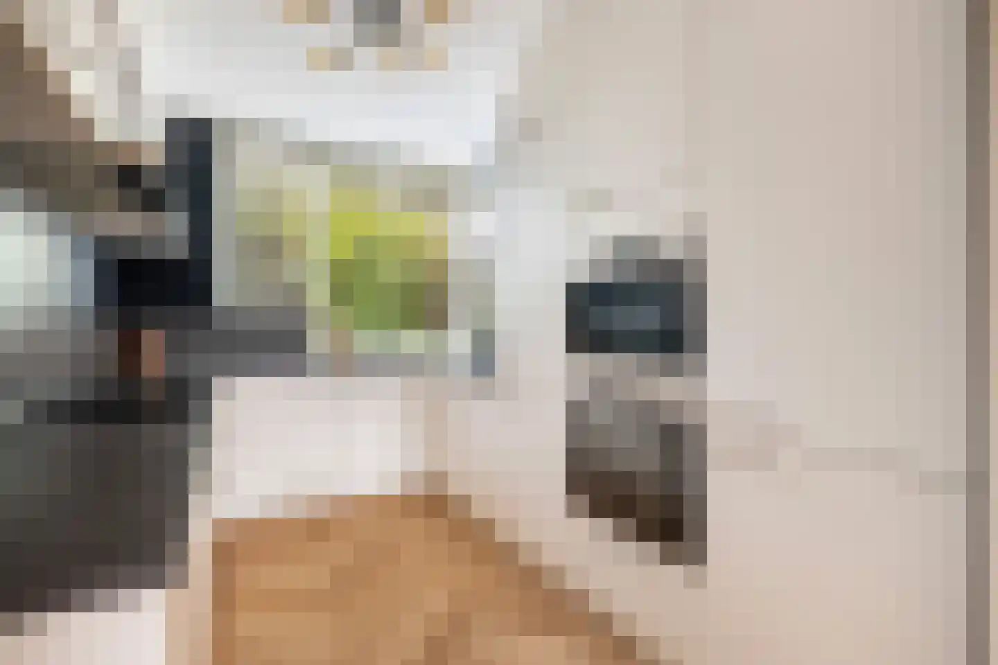 Perzikgaarde 2 Nieuwegein thumbnail 5