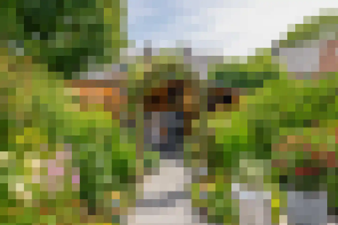 Perzikgaarde 5 Houten foto 3