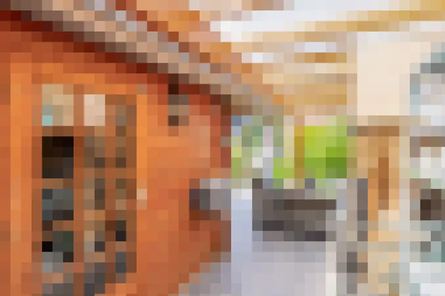 Perzikgaarde 5 Houten thumbnail 31