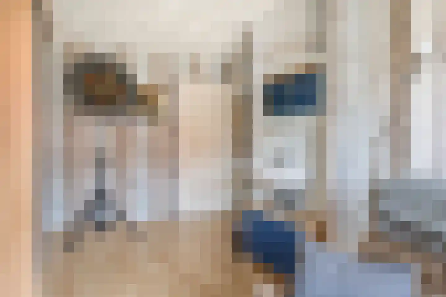 Perzikgaarde 5 Houten thumbnail 41