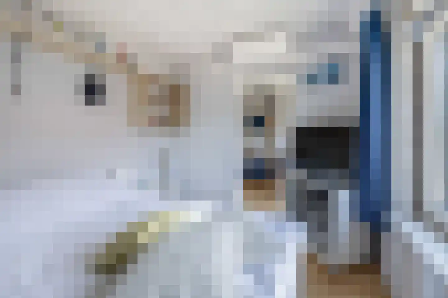 Perzikgaarde 5 Houten thumbnail 43