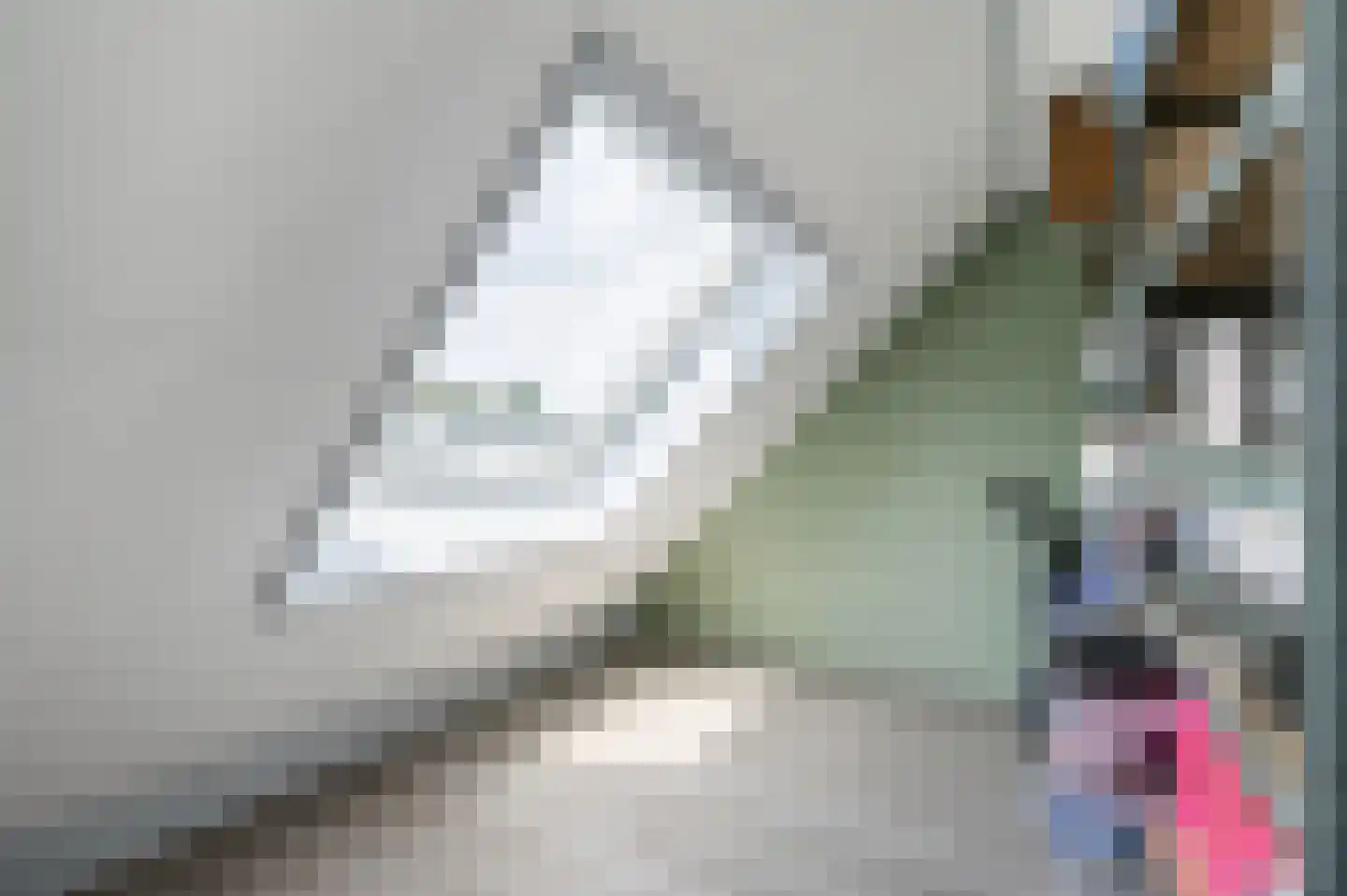 Perzikgaarde 5 Houten thumbnail 48