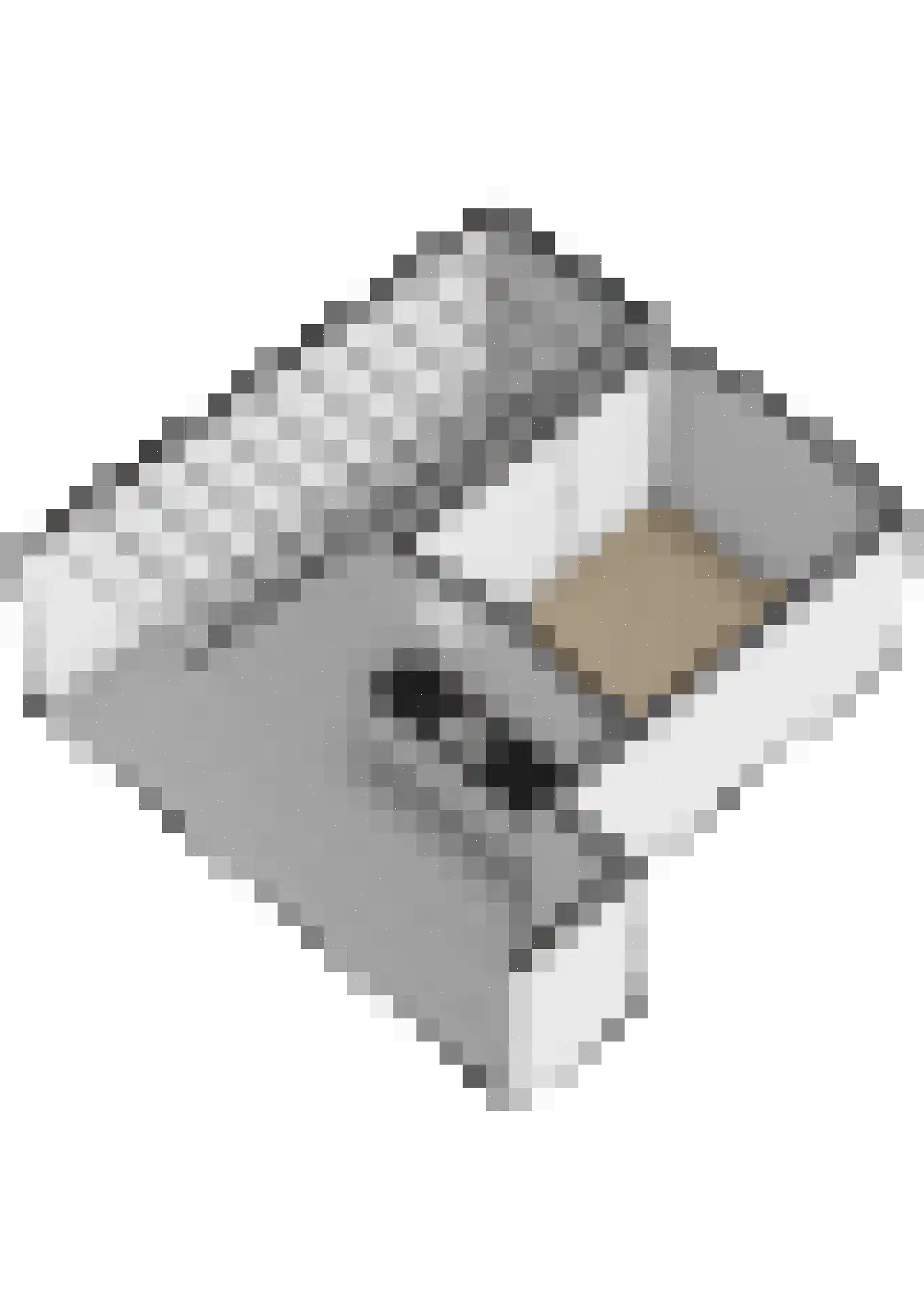 Perzikgaarde 5 Houten thumbnail 57