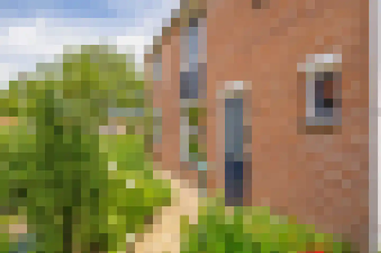Perzikgaarde 5 Houten thumbnail 8