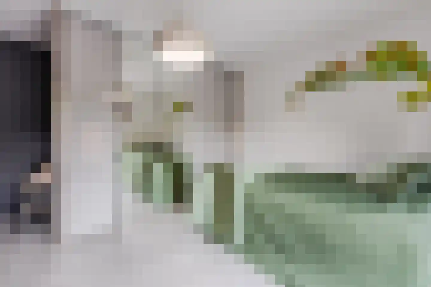 Perzikkruidweg 35 Zaandam thumbnail 26