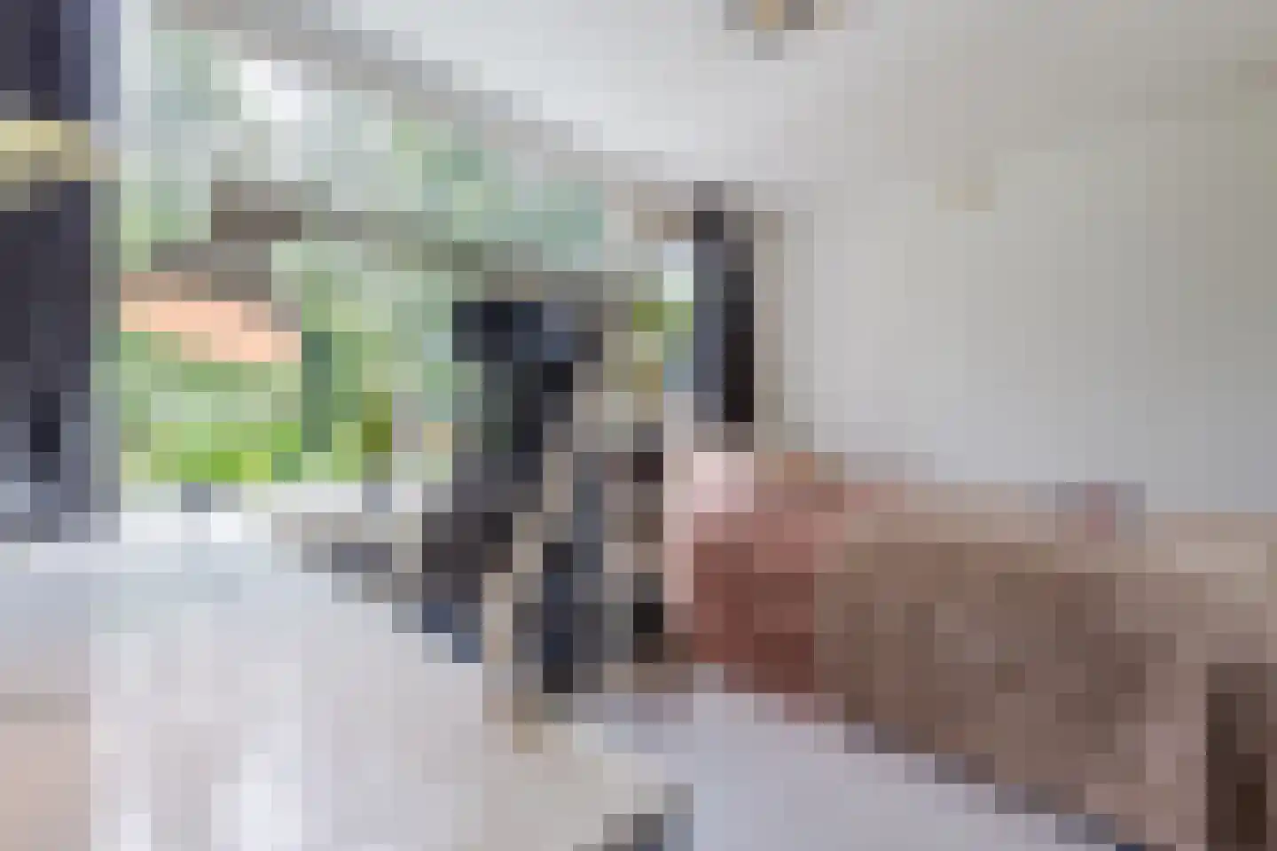 Perzikkruidweg 35 Zaandam thumbnail 31