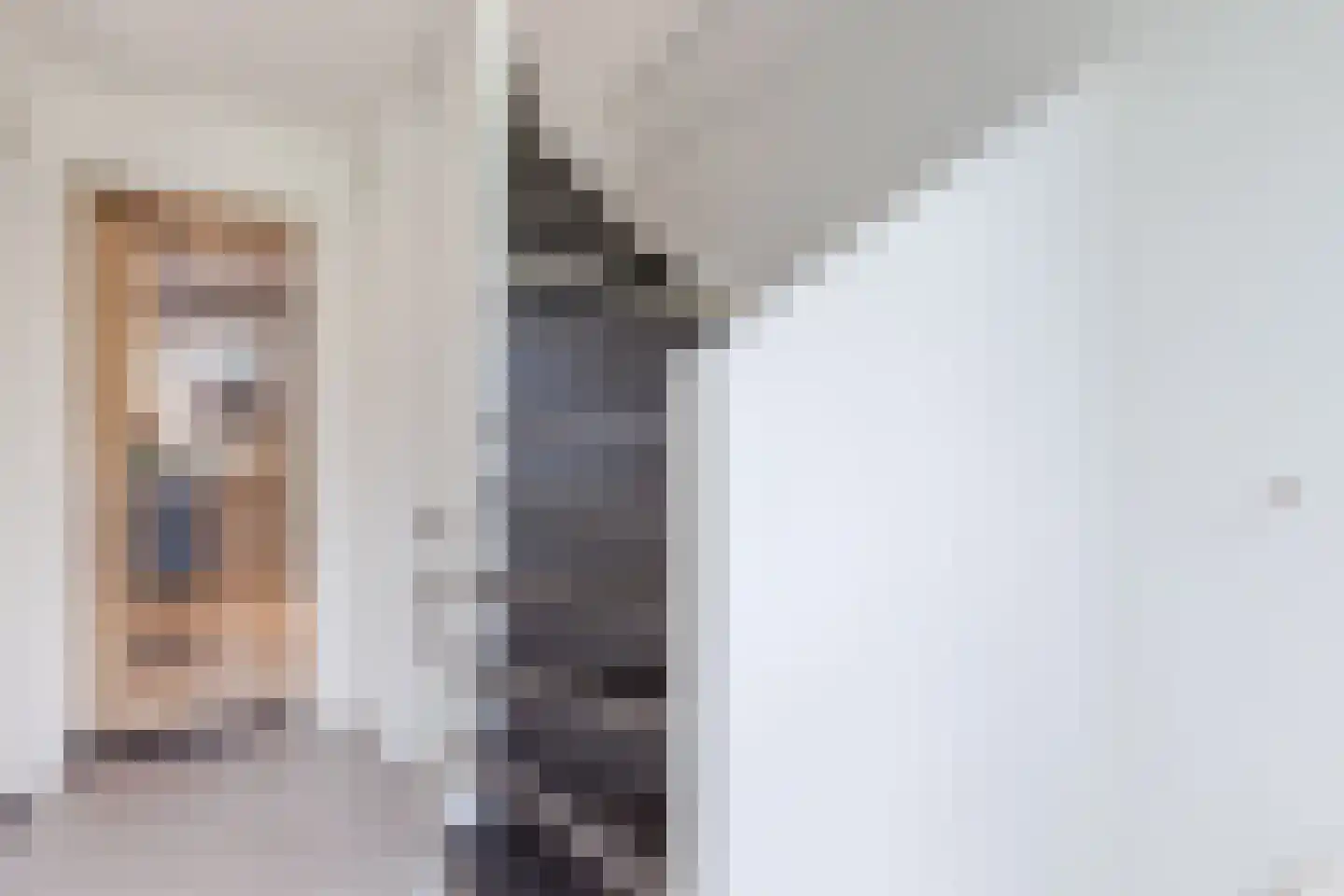 Perzikkruidweg 35 Zaandam thumbnail 39