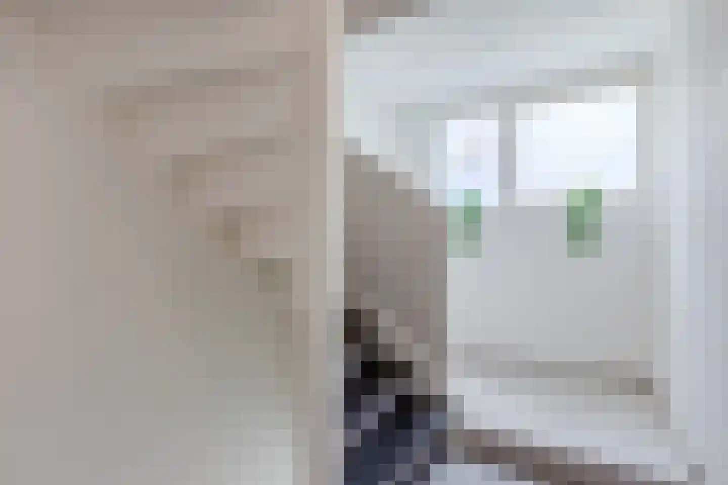 Perzikkruidweg 35 Zaandam thumbnail 40