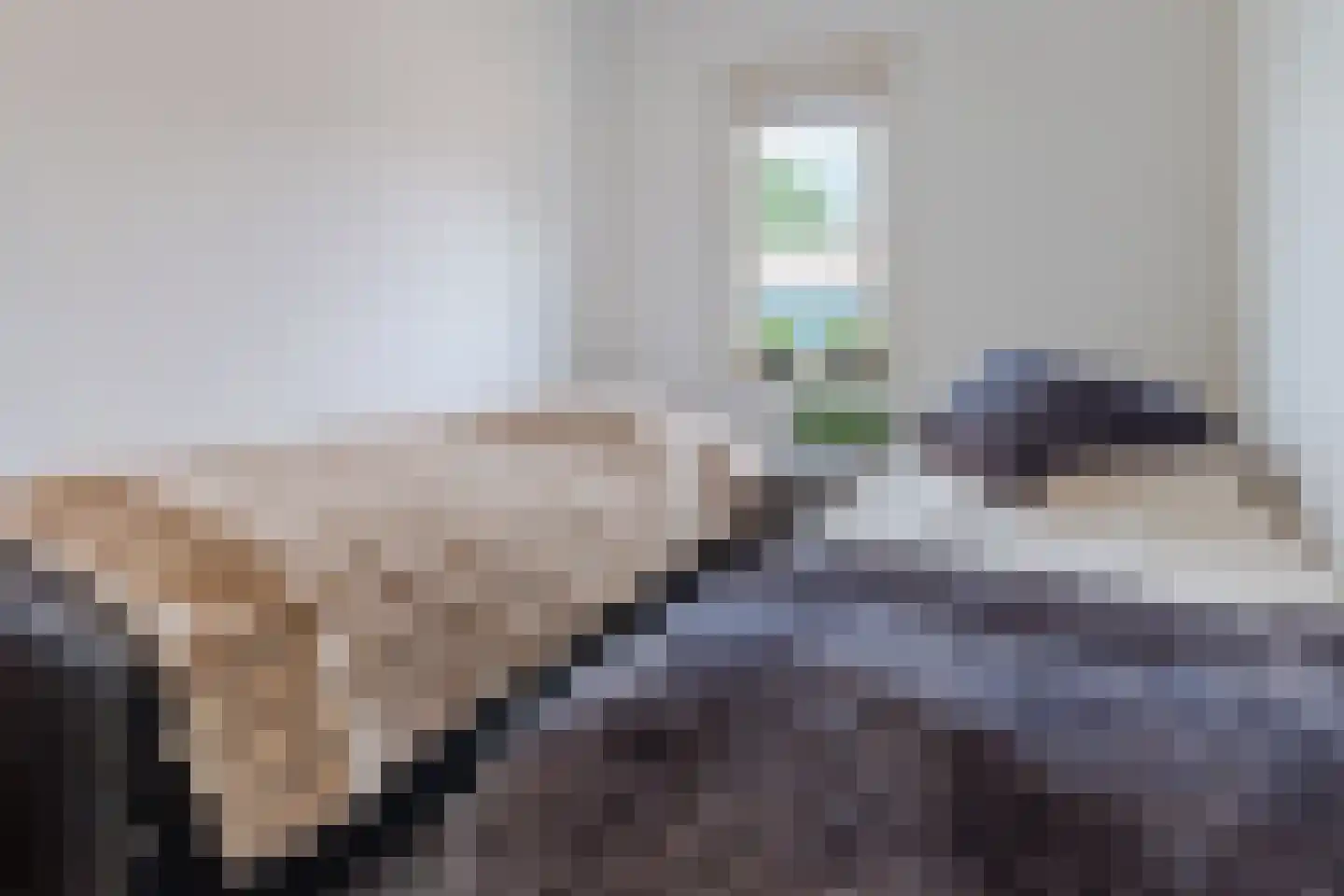 Perzikkruidweg 35 Zaandam thumbnail 44