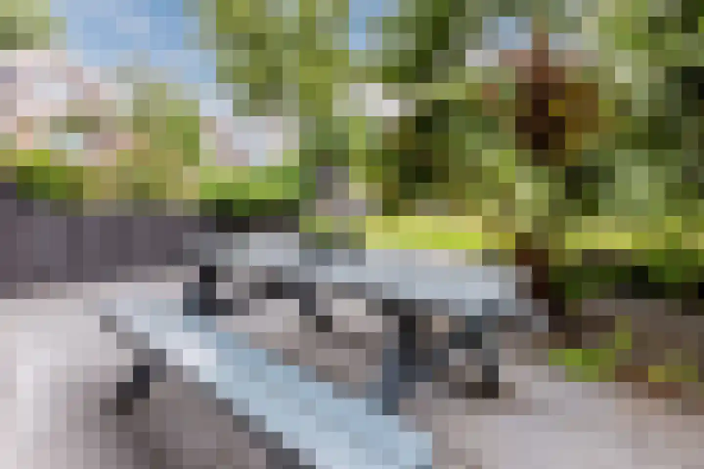 Perzikkruidweg 35 Zaandam thumbnail 8