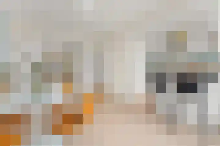 Perziklaan 14 Den Haag thumbnail 10