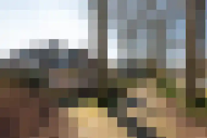 Perziklaan 2 Bilthoven thumbnail 20