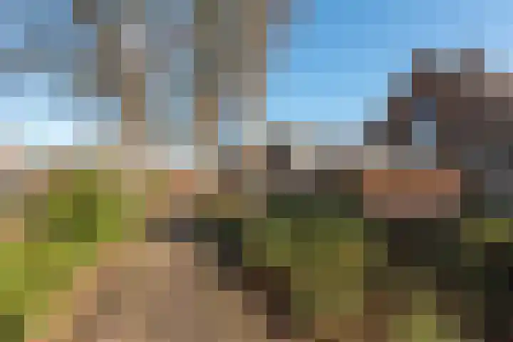 Perziklaan 2 Bilthoven thumbnail 21