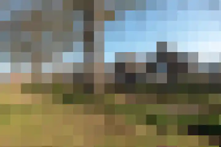 Perziklaan 2 Bilthoven thumbnail 22