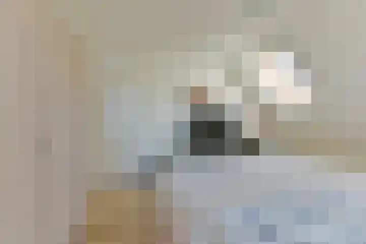 Perziklaan 2 Bilthoven thumbnail 26