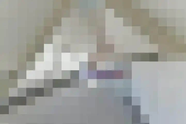 Perziklaan 2 Bilthoven thumbnail 35