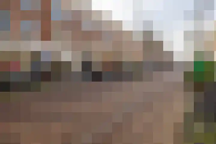 Perziklaan 2 Bilthoven thumbnail 4