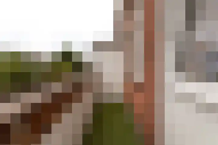 Perziklaan 48 Den Haag thumbnail 18