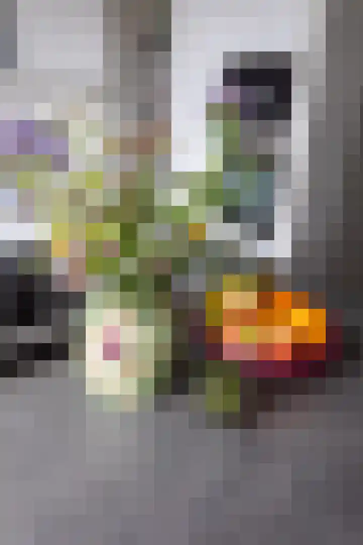 Perziklaan 48 Den Haag thumbnail 19