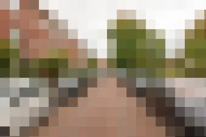 Perziklaan 48 Den Haag thumbnail 43