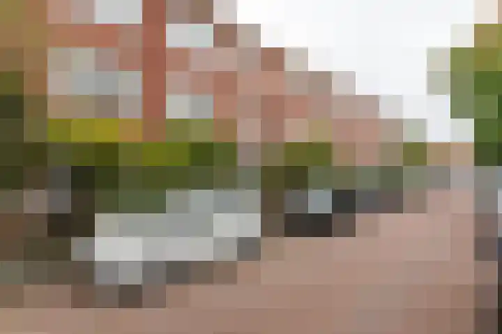 Perziklaan 48 Den Haag thumbnail 44