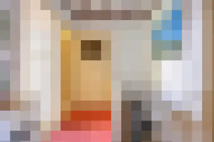 Perziklaan 6 Den Haag thumbnail 18