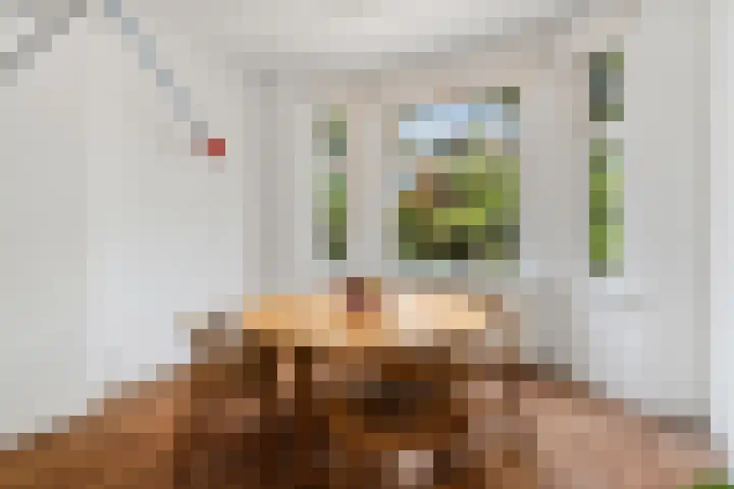Perziklaan 76 A Den Haag thumbnail 15