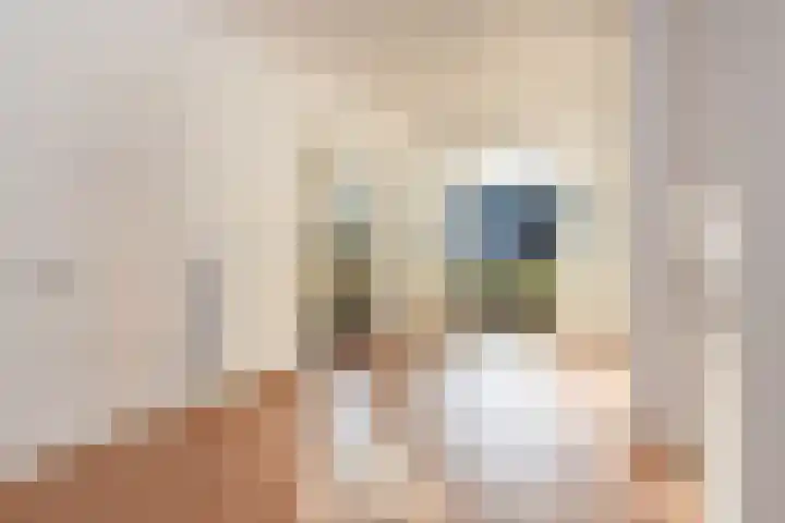 Perziklaan 76 Den Haag thumbnail 16