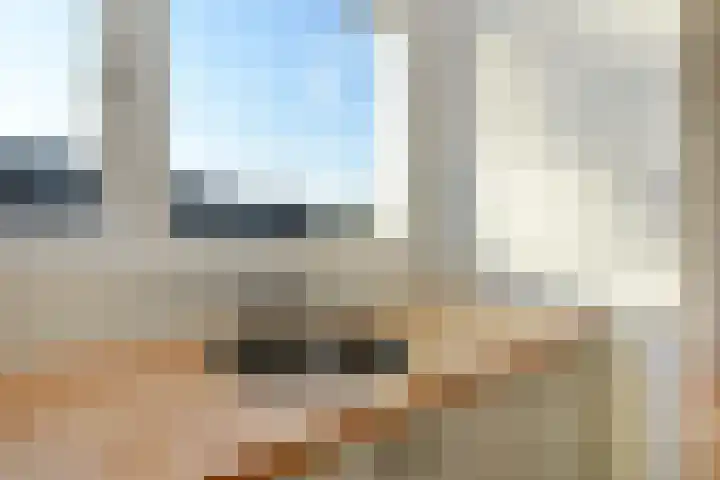 Perziklaan 76 Den Haag thumbnail 20