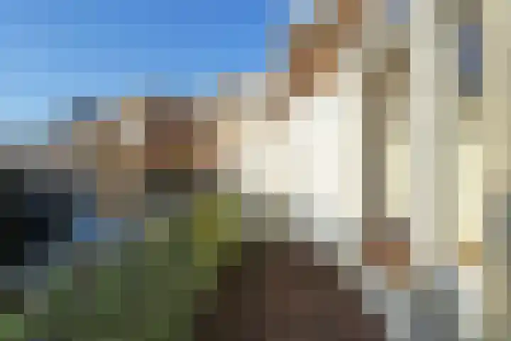 Perziklaan 76 Den Haag thumbnail 5