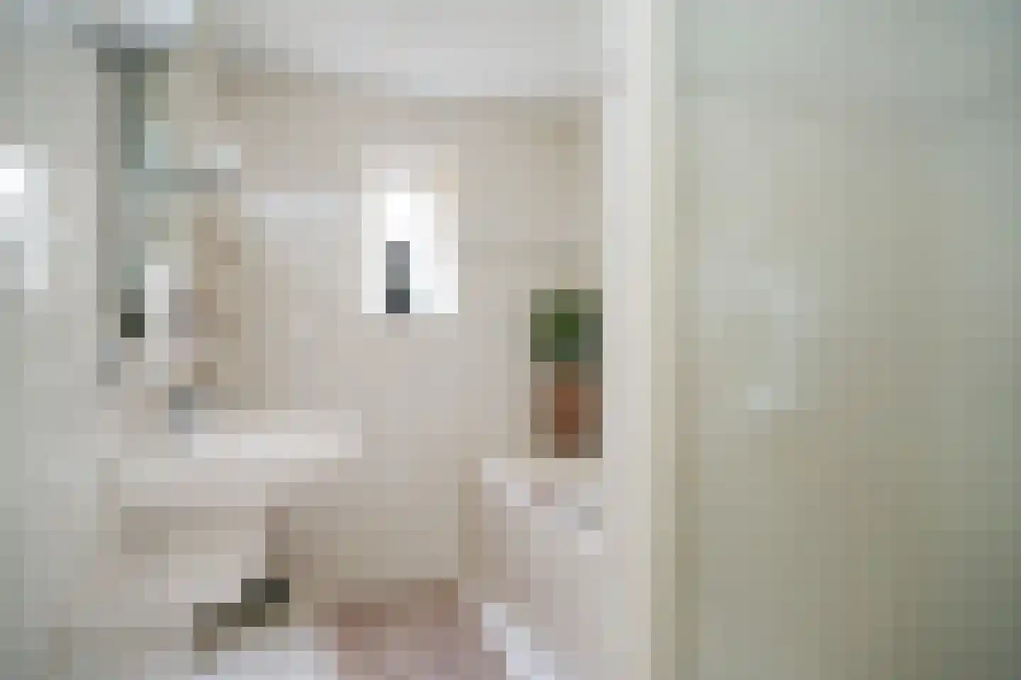 Perzikstraat 12 a Wijk en Aalburg thumbnail 19