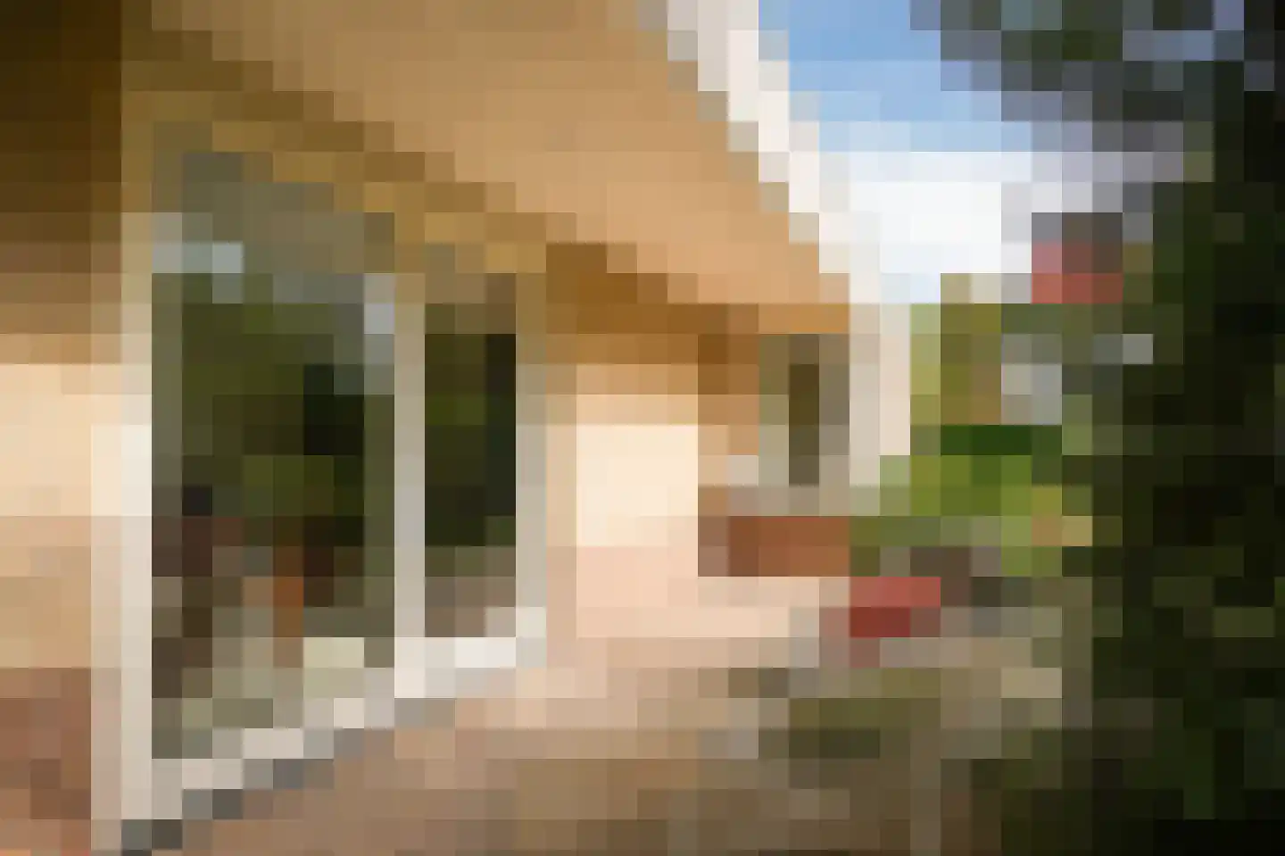 Perzikstraat 12 a Wijk en Aalburg thumbnail 37