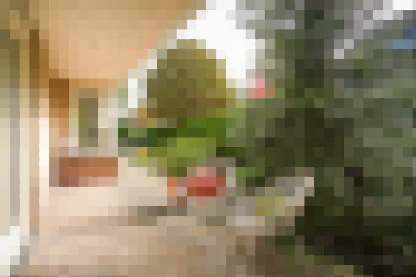 Perzikstraat 12 a Wijk en Aalburg thumbnail 39