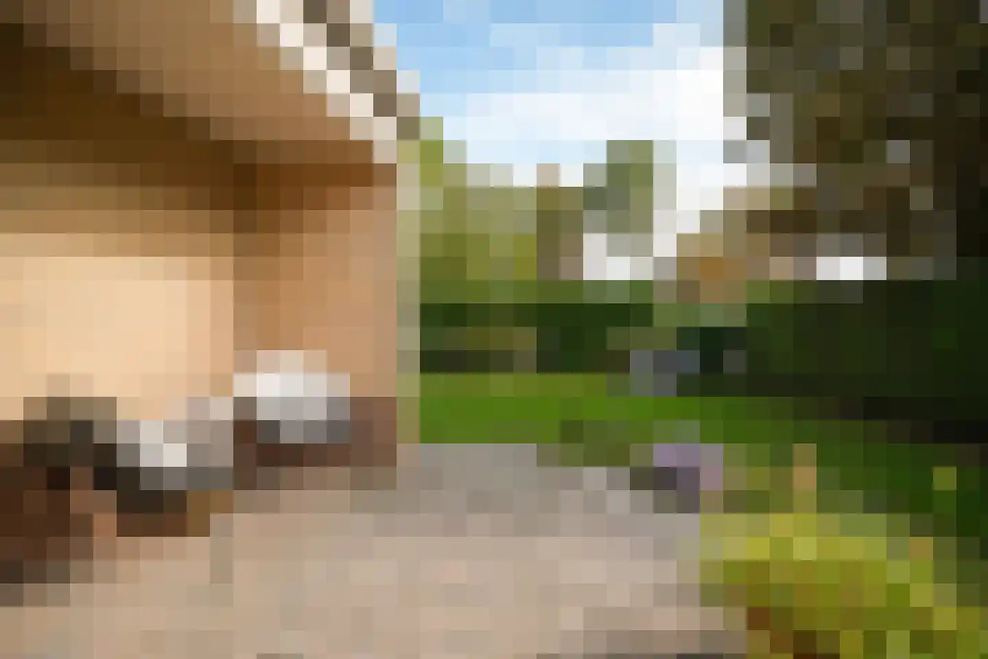 Perzikstraat 12 a Wijk en Aalburg thumbnail 40