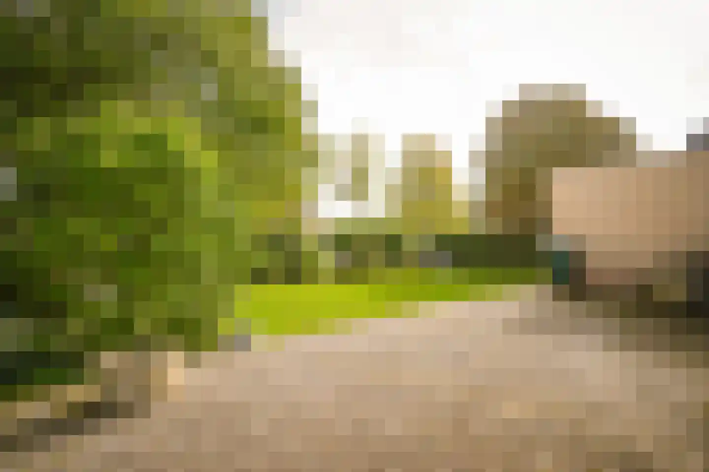 Perzikstraat 12 a Wijk en Aalburg thumbnail 42