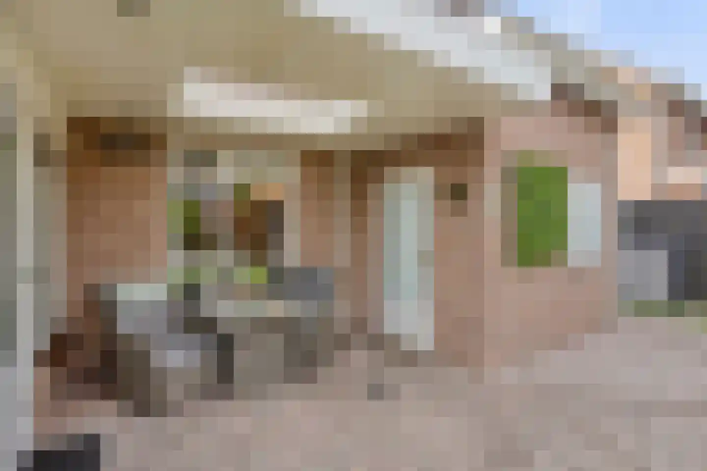 Perzikstraat 17 Beneden-Leeuwen thumbnail 23