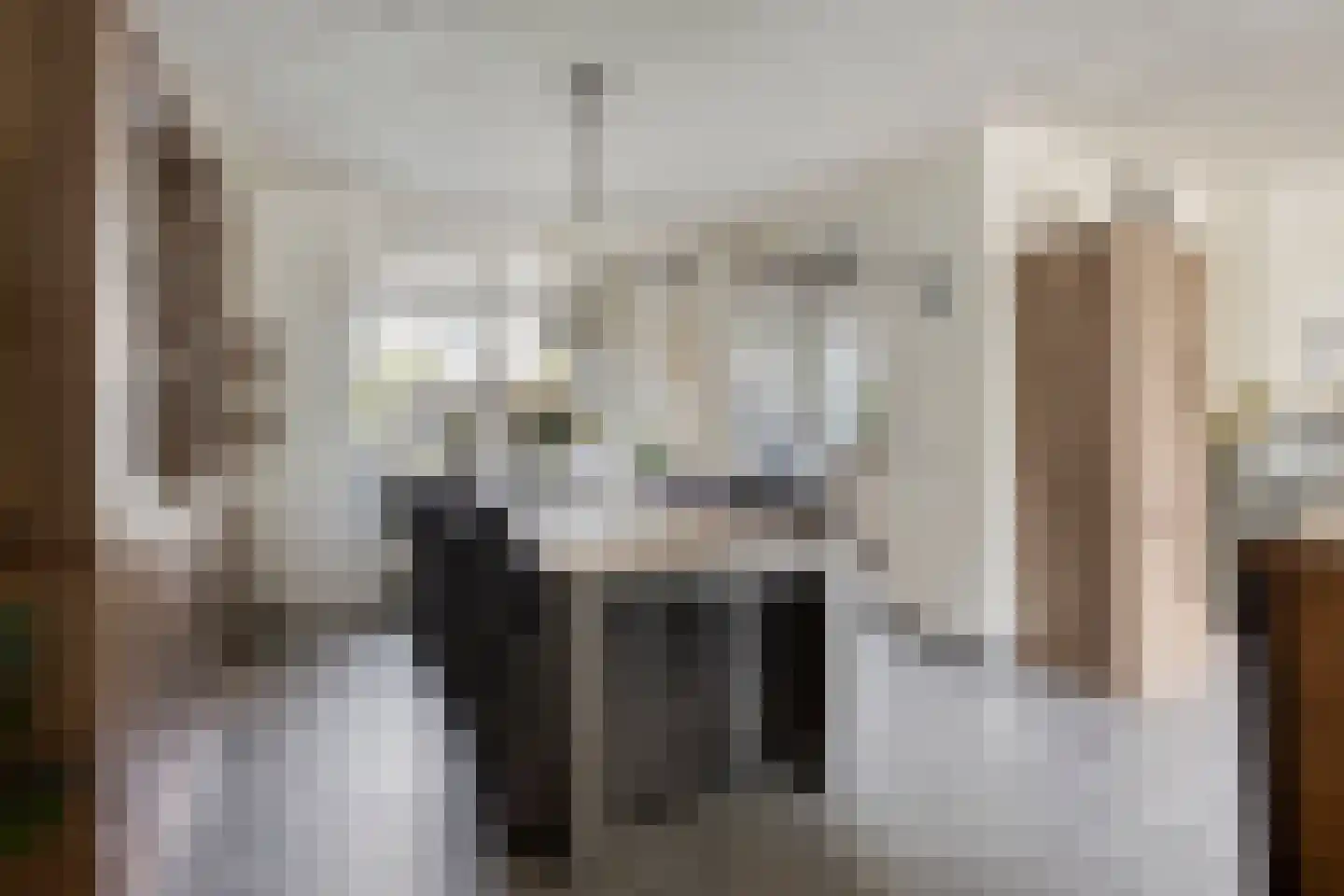 Perzikstraat 17 Beneden-Leeuwen thumbnail 4