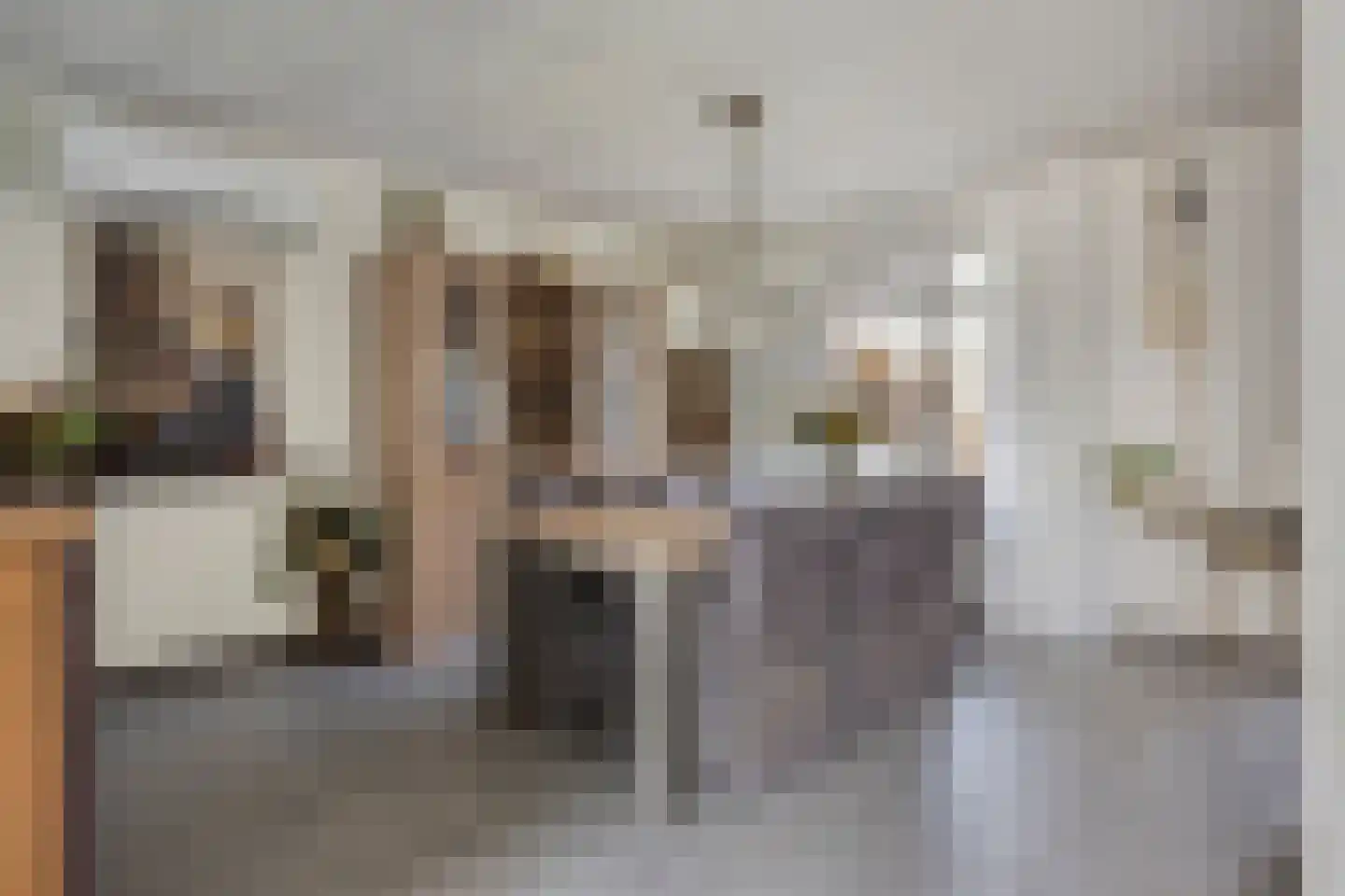 Perzikstraat 17 Beneden-Leeuwen thumbnail 5