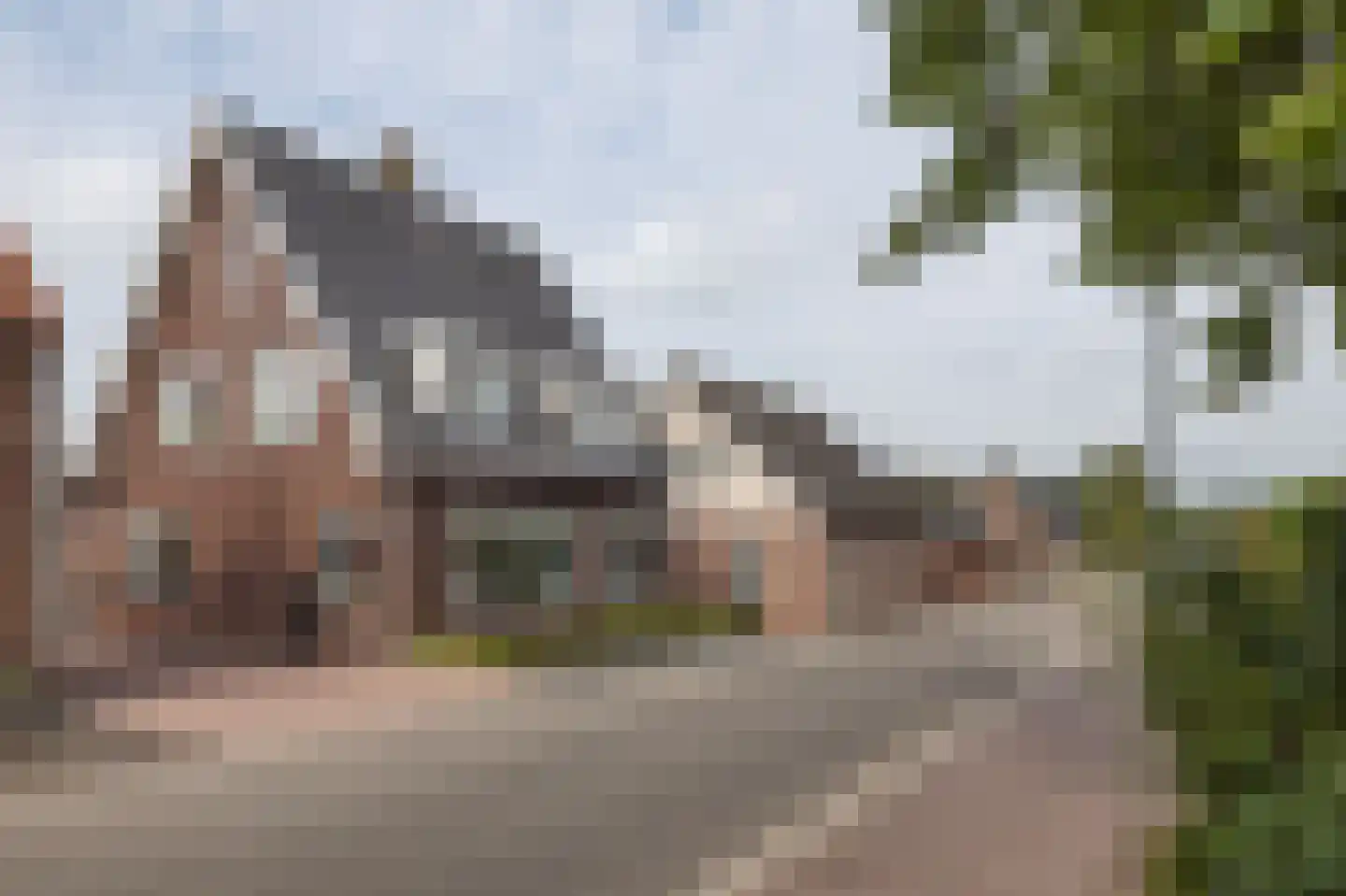 Perzikstraat 21 Wijk en Aalburg thumbnail 35